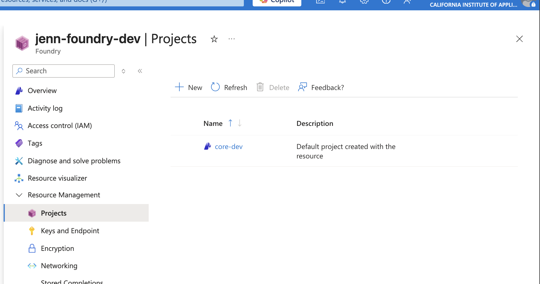 jenn-foundry-dev resource details — subscription, resource group, location